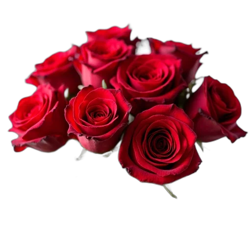 flower, jewelry, crown, 3d render transparent PNG cut-out