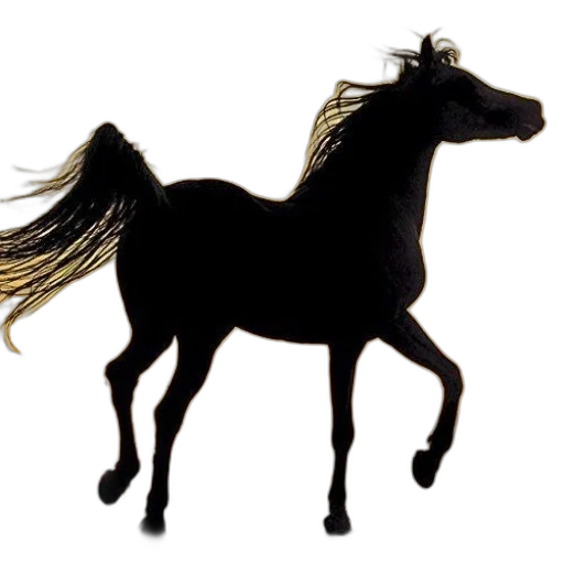 animal, hair, creature, staff transparent PNG cut-out