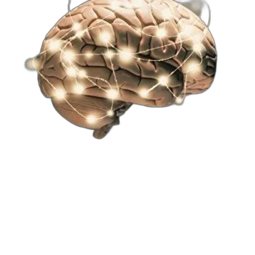crown, jewelry, hat, mask transparent PNG cut-out