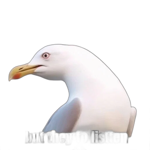 animal, creature, face, robot transparent PNG cut-out