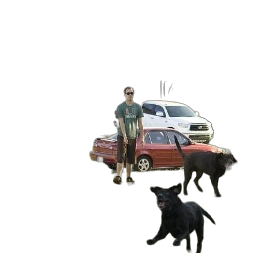 car, animal, creature, robot transparent PNG cut-out