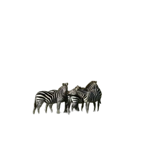 animal, creature, furniture, jewelry transparent PNG cut-out