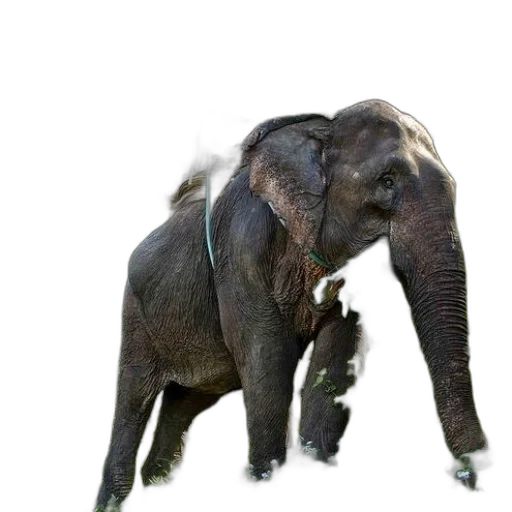 animal, creature, staff, weapon transparent PNG cut-out