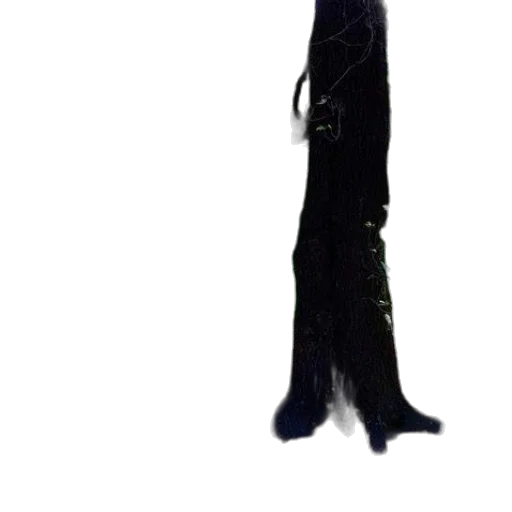 staff, dress, hair, creature transparent PNG cut-out