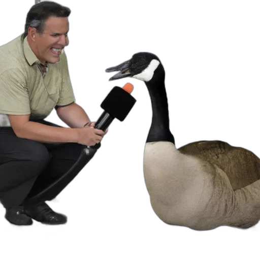 staff, animal, weapon, creature transparent PNG cut-out