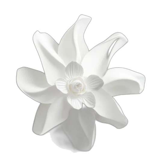 flower, jewelry, crown, weapon transparent PNG cut-out