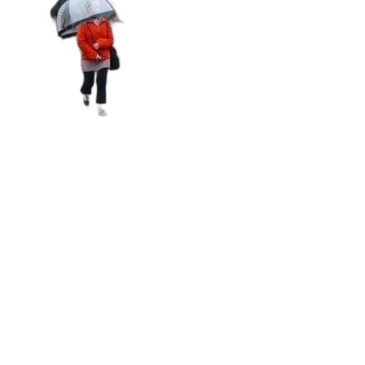 umbrella, jacket, staff, hat transparent PNG cut-out