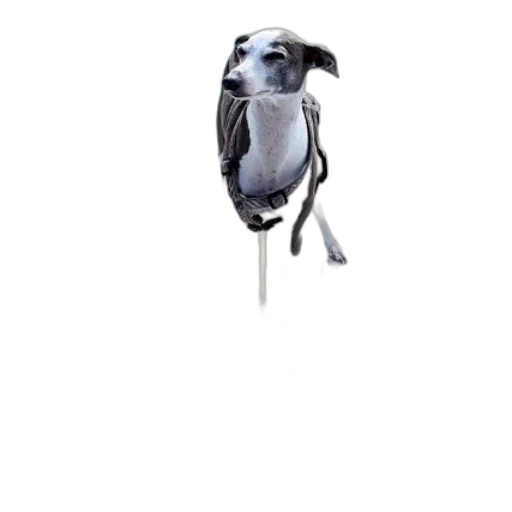 animal, staff, umbrella, robot transparent PNG cut-out
