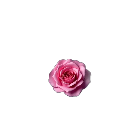 flower, jewelry, crown, hat transparent PNG cut-out