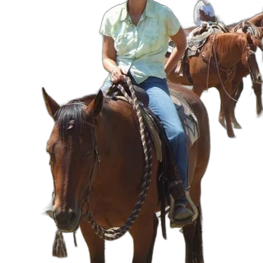 staff, animal, woman, light transparent PNG cut-out