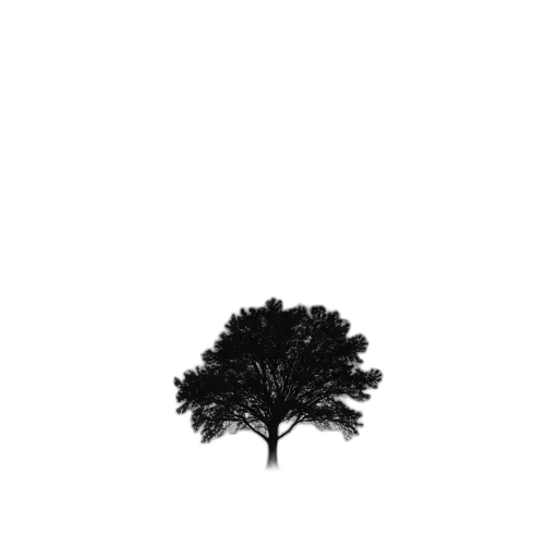 tree, crown, hair, dress transparent PNG cut-out