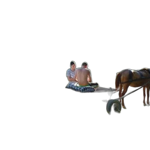furniture, animal, creature, robot transparent PNG cut-out