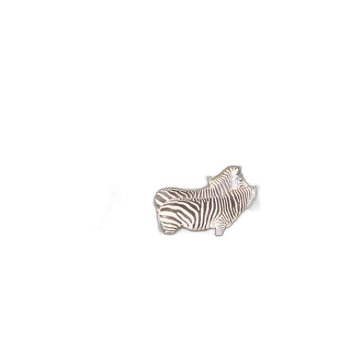 jewelry, shoes, hair, animal transparent PNG cut-out