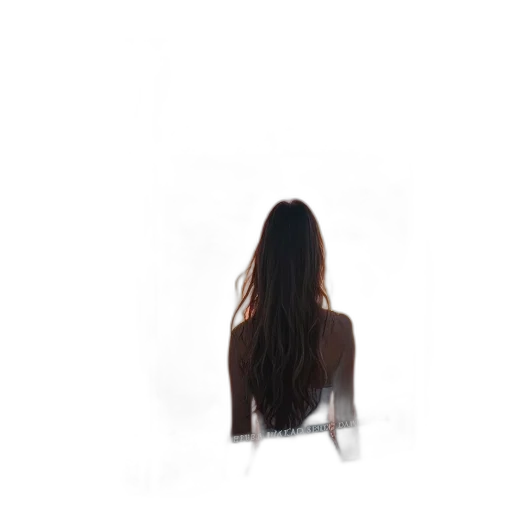 hair, dress, furniture, staff transparent PNG cut-out