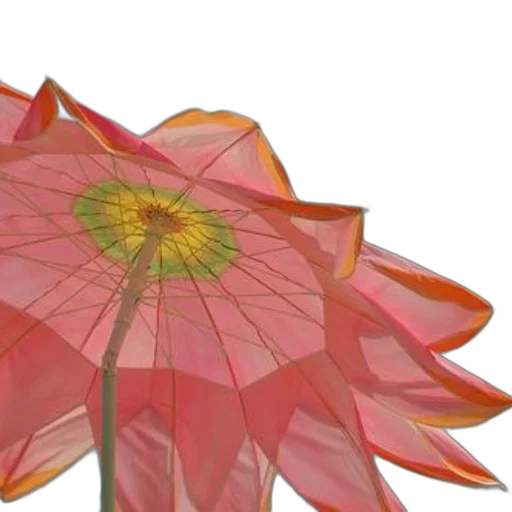 flower, umbrella, crown, jewelry transparent PNG cut-out