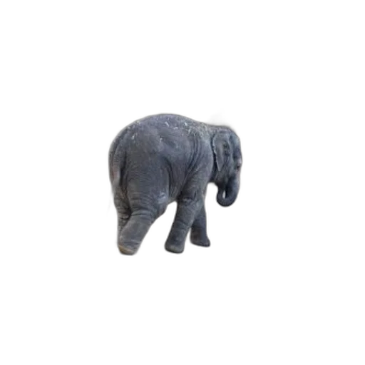 animal, creature, staff, hat transparent PNG cut-out