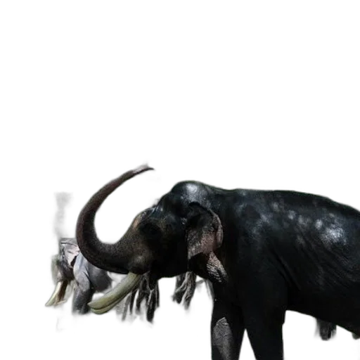 animal, creature, dragon, staff transparent PNG cut-out