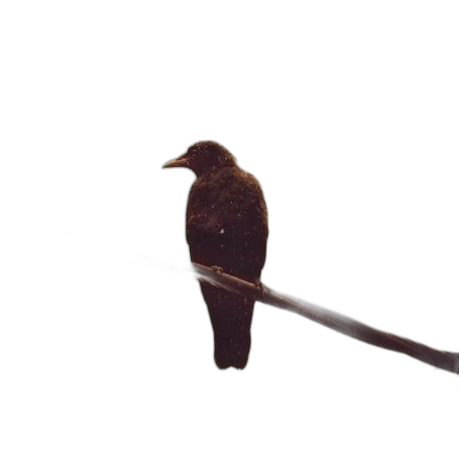 staff, animal, weapon, umbrella transparent PNG cut-out