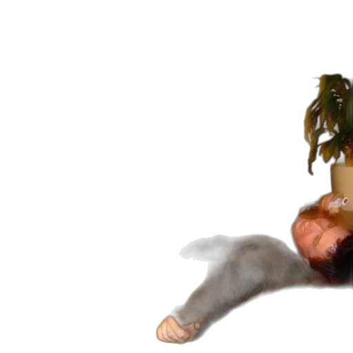 creature, food, hair, animal transparent PNG cut-out