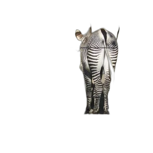 jewelry, animal, mask, crown transparent PNG cut-out