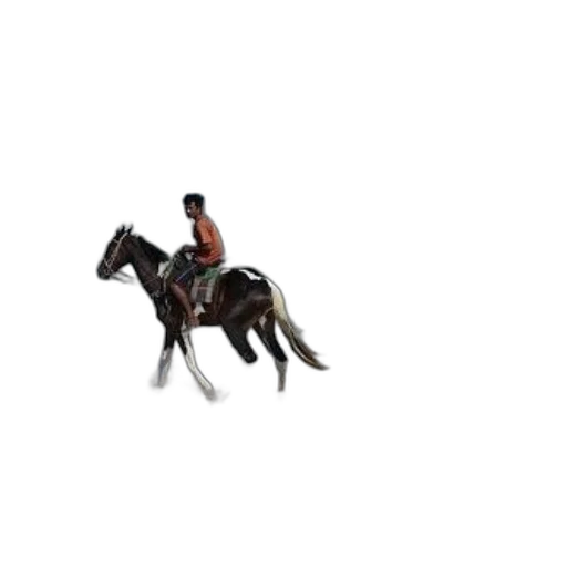 animal, creature, pixel art, 3d render transparent PNG cut-out