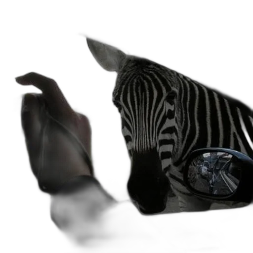 shoes, animal, mask, jewelry transparent PNG cut-out