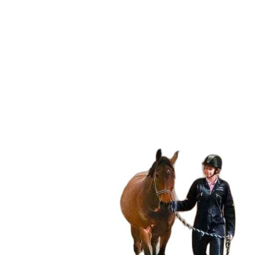 animal, staff, jacket, creature transparent PNG cut-out