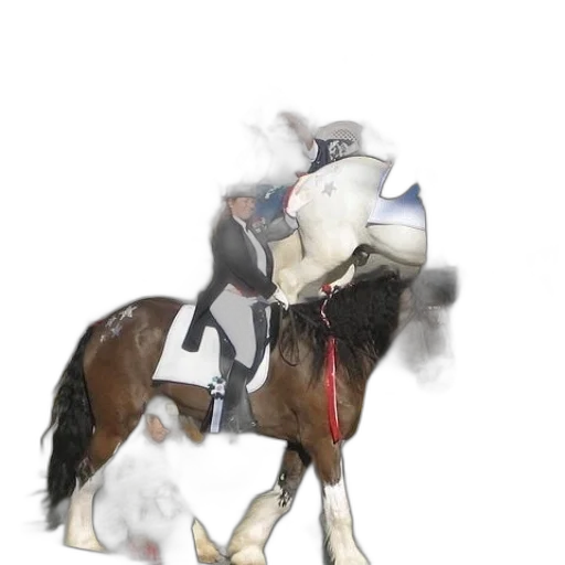 hat, animal, sword, mask transparent PNG cut-out