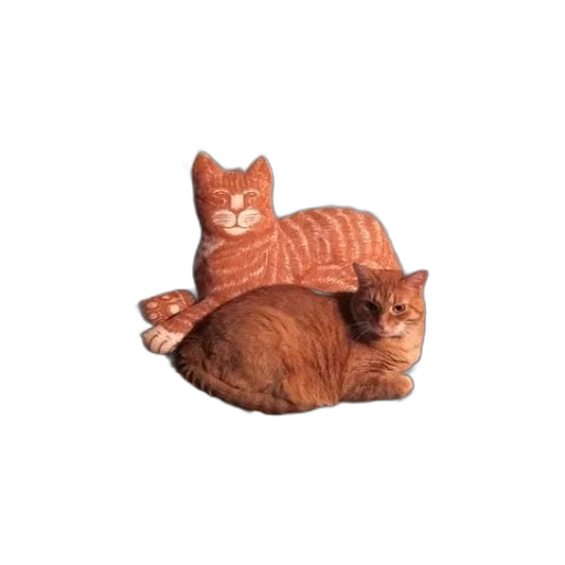 hat, animal, furniture, creature transparent PNG cut-out