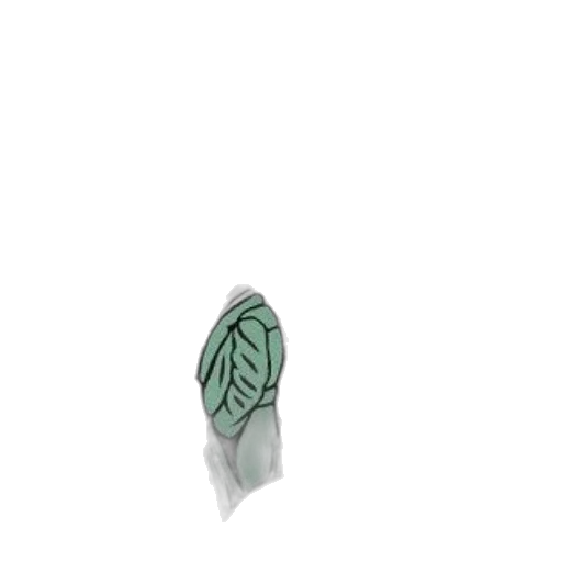 jewelry, flower, crown, bottle transparent PNG cut-out