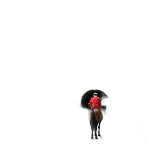 umbrella, hat, jacket, animal transparent PNG cut-out