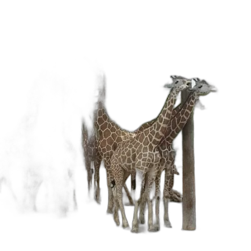 animal, creature, staff, dragon transparent PNG cut-out