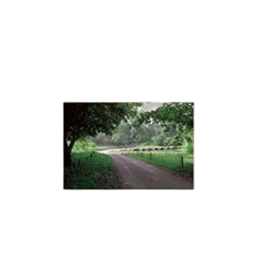 tree, animal, robot, crown transparent PNG cut-out