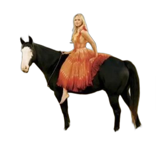 dress, animal, concept art, fantasy art transparent PNG cut-out