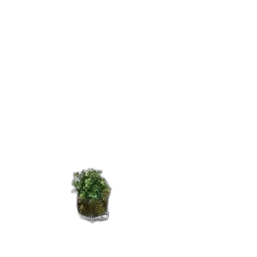 tree, creature, crown, food transparent PNG cut-out