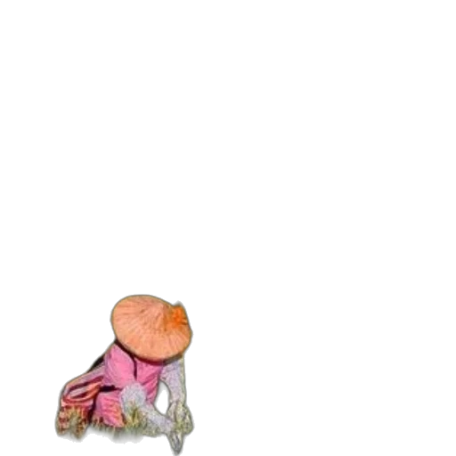tree, hat, creature, flower transparent PNG cut-out