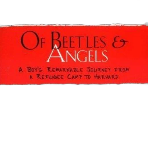 cover, beetles, angels, features transparent PNG cut-out