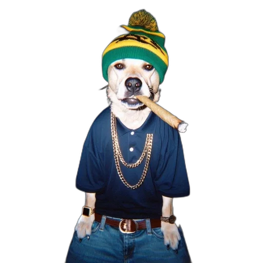 staff, animal, hat, photorealistic transparent PNG cut-out