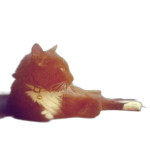 animal, creature, dragon, staff transparent PNG cut-out