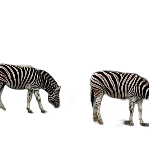 animal, creature, furniture, shoes transparent PNG cut-out