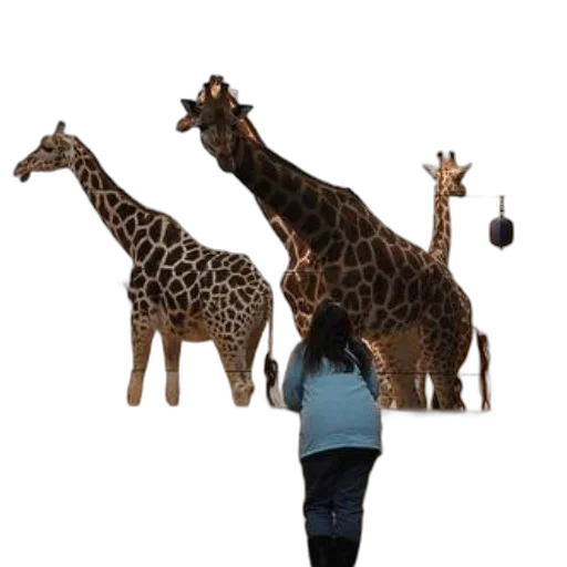 animal, staff, creature, concept art transparent PNG cut-out
