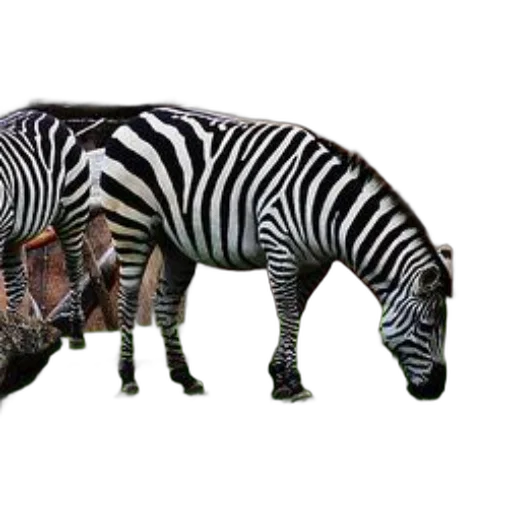 animal, creature, weapon, car transparent PNG cut-out