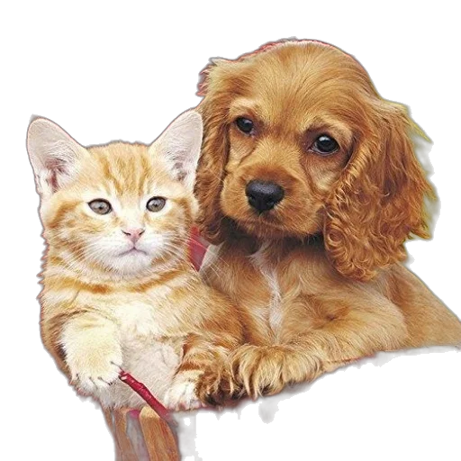 animal, staff, photorealistic, oil painting transparent PNG cut-out