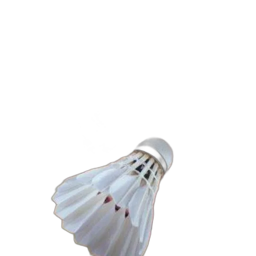 bottle, umbrella, flower, crown transparent PNG cut-out