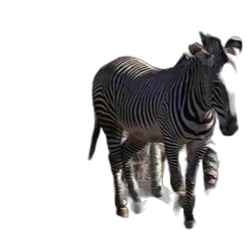 animal, creature, staff, weapon transparent PNG cut-out