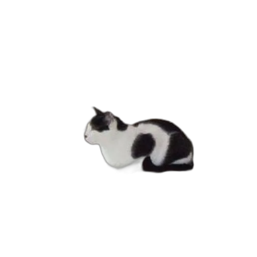 animal, staff, creature, food transparent PNG cut-out