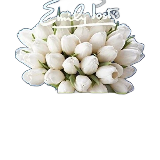 flower, food, jewelry, staff transparent PNG cut-out
