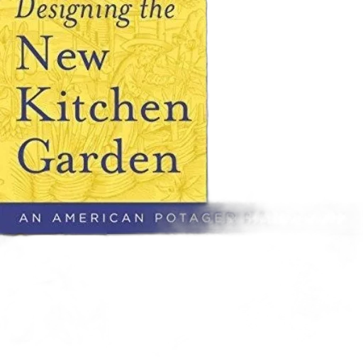 food, designing, new, kitchen transparent PNG cut-out