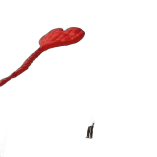 umbrella, staff, weapon, sword transparent PNG cut-out