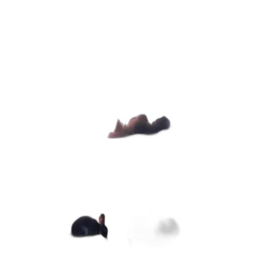 shoes, face, hair, creature transparent PNG cut-out